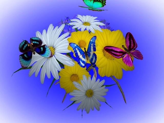 http://media.pcwin.com/images/screen/3D_Wonderful_Flowers_15704.jpg