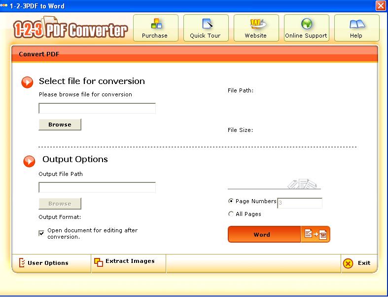 123PDFConverter PDF To Word Converter