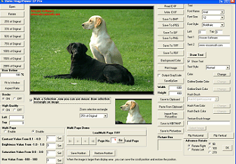 Image, PDF ActiveX  Image Viewer CP Pro