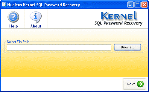 Kernel SQL Password Recovery