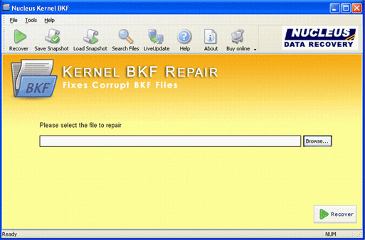 BKF Repair