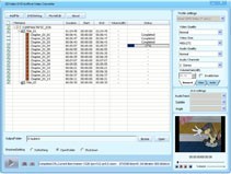 DDVideo DVD to iRiver Converter Gain