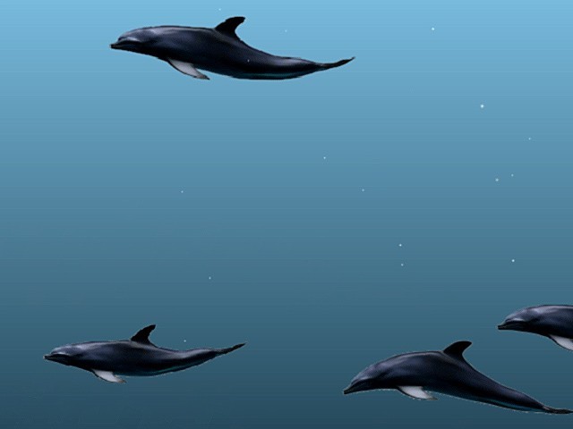 Dolphins 3D ScreenSaver