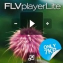 FLV Player Lite