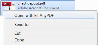 FillAnyPdf Desktop Companion