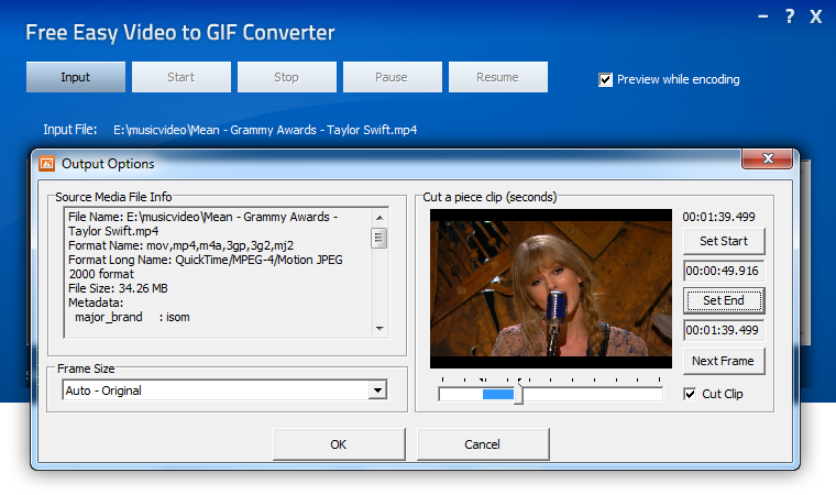 Free Easy Video to GIF Converter