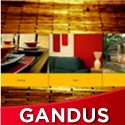 Gandus Portfolio Template