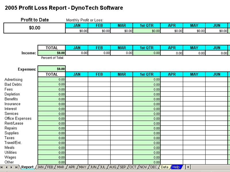 Profit Loss Report Spreadsheet Main Window DynoTech Software Award