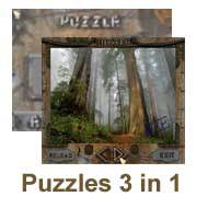 Puzzles 3 in 1