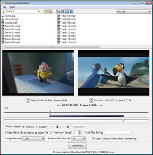 Video Image Generator