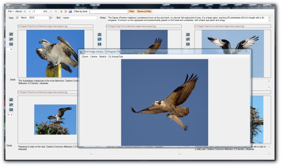 Bird Image Library