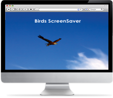 Birds Screensaver