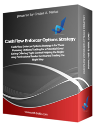 CashFlow Enforcer Options Strategy