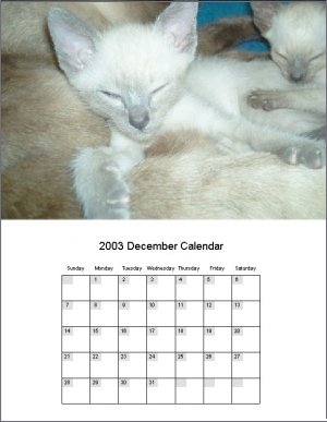 Create Calendar