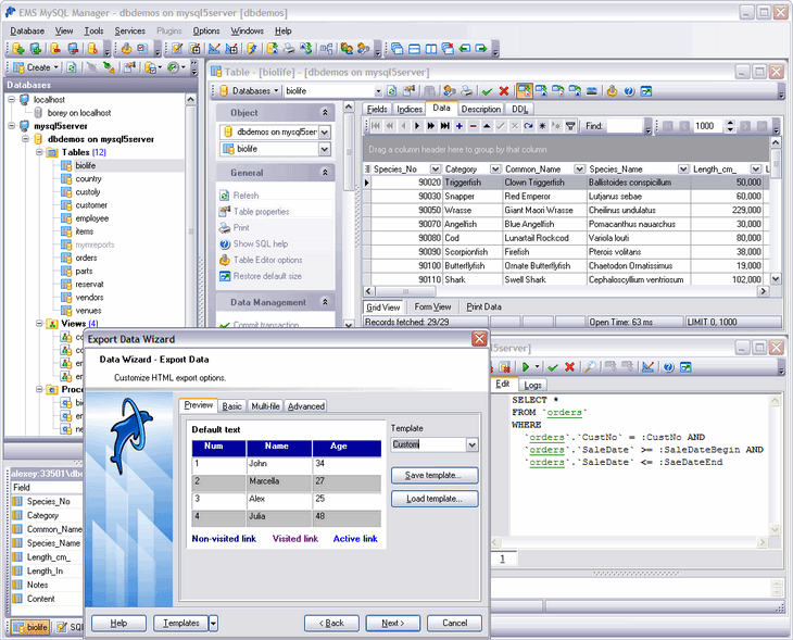 EMS SQL Manager 2005 Lite for MySQL