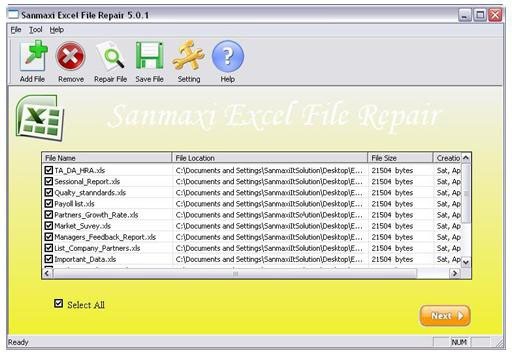 Excel Repair Software