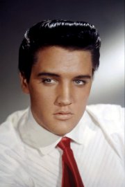 Free Elvis Presley Screensaver