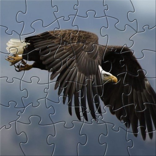 FTLR Soaring Eagle Puzzle
