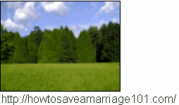 How To Save a Marriage SS