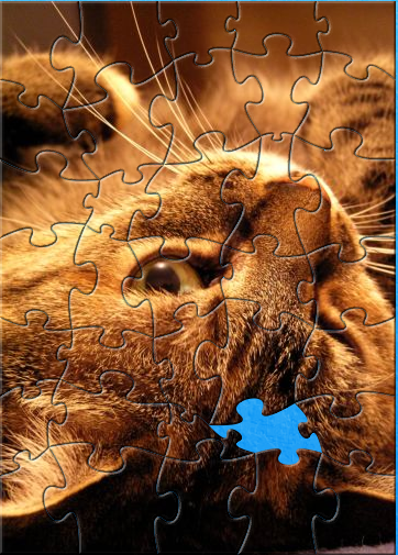 JP1 Cute Cat Puzzle