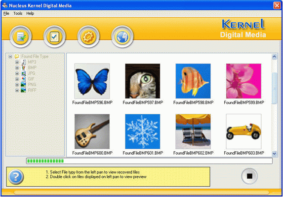Kernel for Digital Photo Recovery