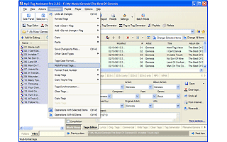Mp3 Tag Assistant Professional 2.6 Final