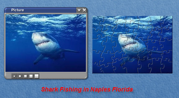 nf shark fishing puzzle