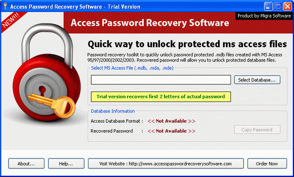 Software to Recover Access Password
