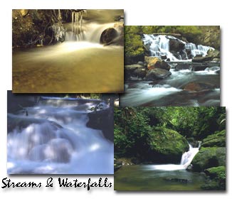 Streams and Waterfalls Screen Saver