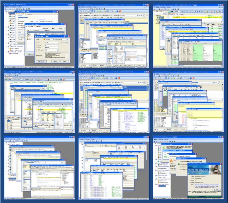 Visual SQLTools 2010 Professional