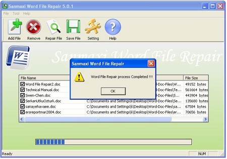 Word Document Repair Program