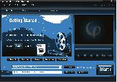 Screenshot of 4Easysoft 3GP Video Converter