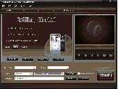 Screenshot of 4Easysoft DVD to MP4 Converter