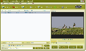 Screenshot of 4Free Video Converter Advanced Version