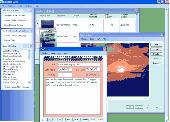 Screenshot of Database Oasis