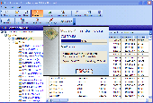 Screenshot of Full Convert Interbase/Firebird Edition