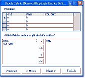 Oracle Delete (Remove) Duplicate Entries Software Screenshot