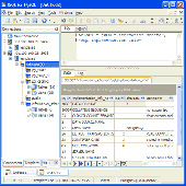Screenshot of pgISQL (Interactive SQL for PostgreSQL)