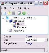 Screenshot of XL Report Builder