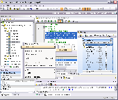 Screenshot of Altova DatabaseSpy