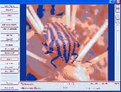 Screenshot of GdViewer Pro OCX - Image Viewer ActiveX