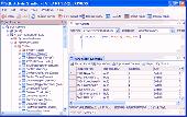 Screenshot of SQL Admin Studio