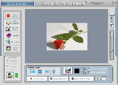 Ace WINScreen Screenshot