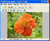 Screenshot of AD Picture Viewer
