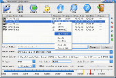 Screenshot of Allok AVI MPG Converter
