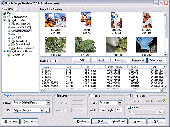 Screenshot of Batch Image Resizer