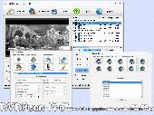 DVDPean Video Screenshot