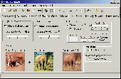 Mosaic Creator Screenshot