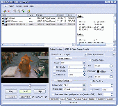 Screenshot of MP4 Converter Software