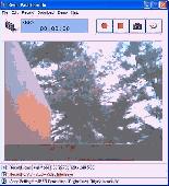 Screenshot of River Past Cam Do Webmaster Edition
